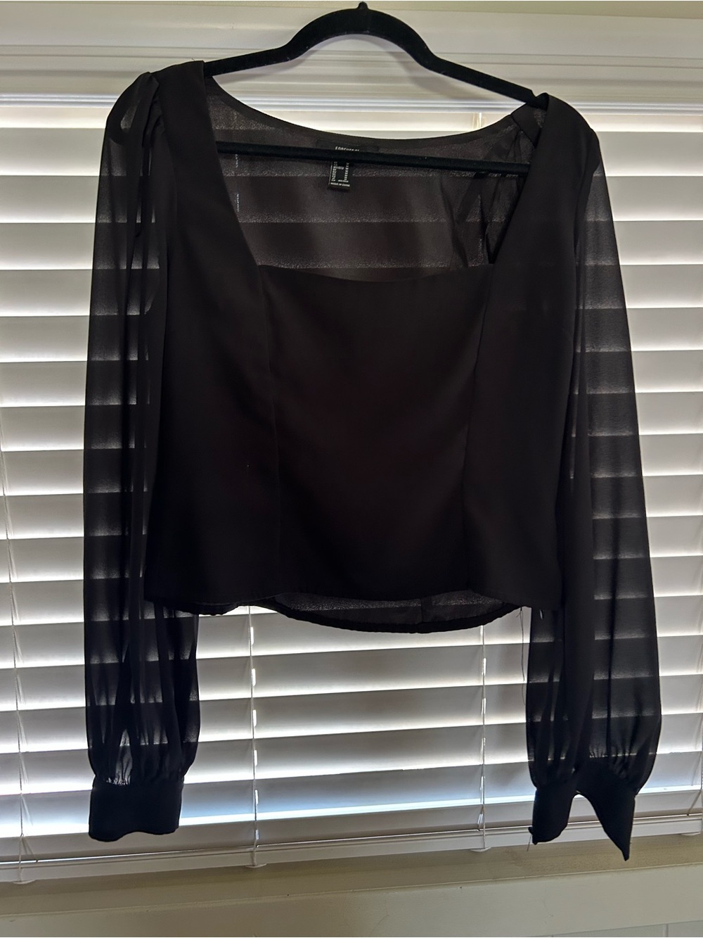 Forever 21 Black Square Neck Sheer Long Sleeve Blouse